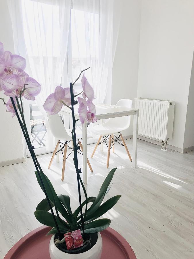 Belvarosi Studio Apartman Kecskemét Exterior photo